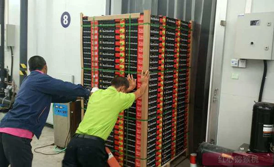 Kiwi fruit storage Kiwi fruit storage