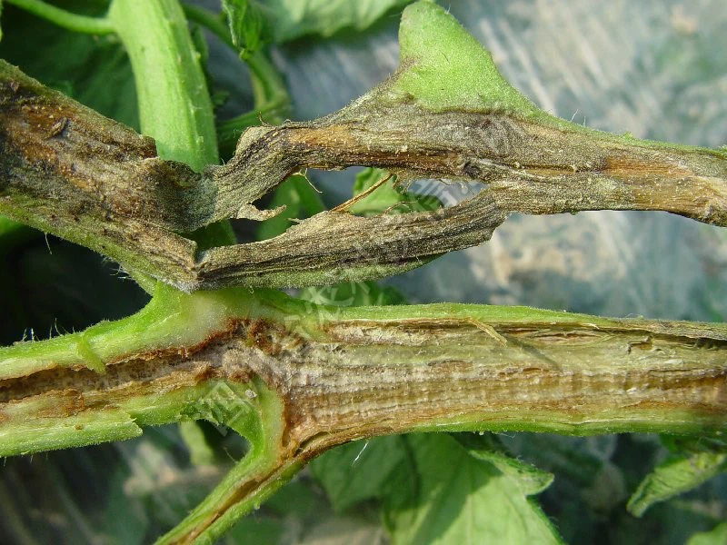 bcefc318d15c48549798473b4655dd79th bcefc318d15c48549798473b4655dd79th