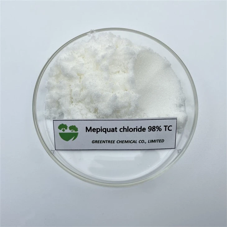 24307-26-4 Régulateur de croissance des plantes Pgr 98 % Tc Chlorure de mépiquat dans les produits chimiques