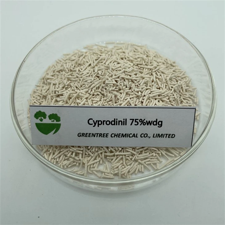 CAS 121552-61-2 Produits chimiques agricoles fongicides Cyprodinil 75 % Wdg