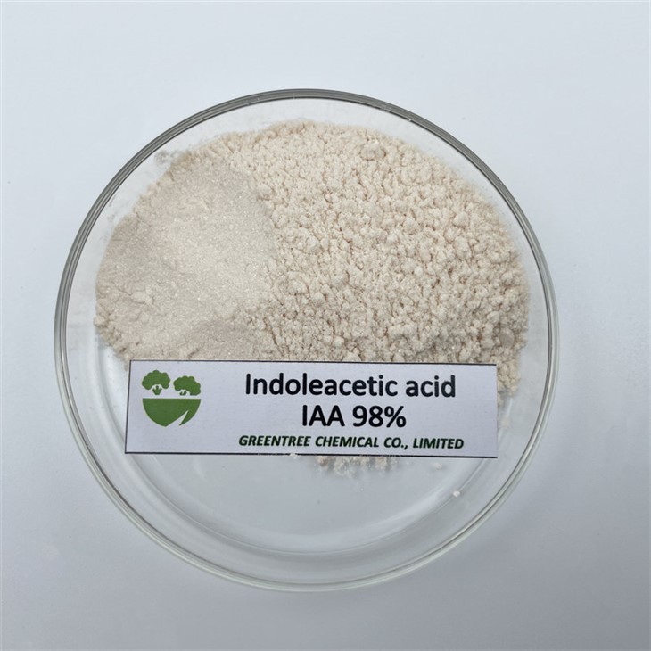 CAS 87-51-4 Iaa 98%Tc High Quality Plant Growth Powder Indole-3-Acetic Acid 98%Tc