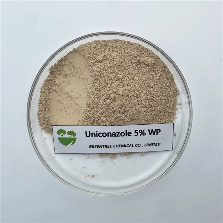 CAS NO. 76714-83-5 Plant Growth Retardant Hormone Uniconazole 5% 5wp