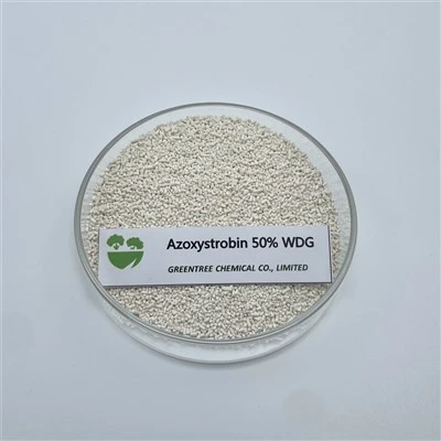 CAS 131860-33-8 Fongicide Azoxystrobine 50 % Wdg Bactéricide