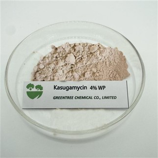 CAS 6980-18-3 Lutte antiparasitaire Kasugamycine 4 % WP C14H25N3O9