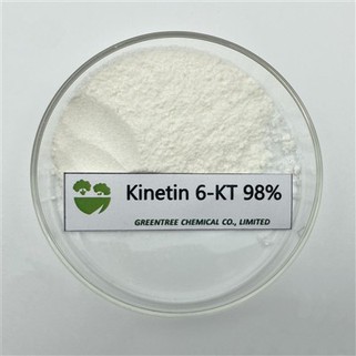Cytokinines végétales 6-furfurylaminopurine 99 %