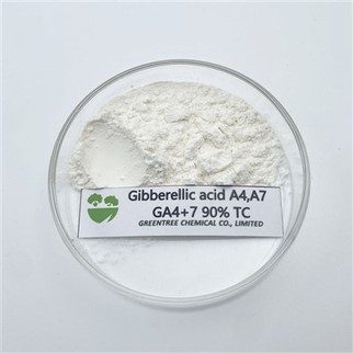 Fabrication professionnelle Régulateurs de croissance des plantes Gibbérelline 90 % Tc Ga4 plus 7