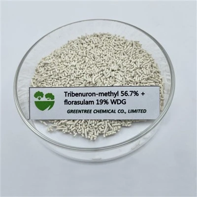 Herbicide Désherbant Tribénuron Méthyle 567 G/Kg + Florasulam 190 G/Kg Wdg
